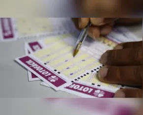 Veja o resultado da Lotofácil concurso 3790 deste domingo (27)