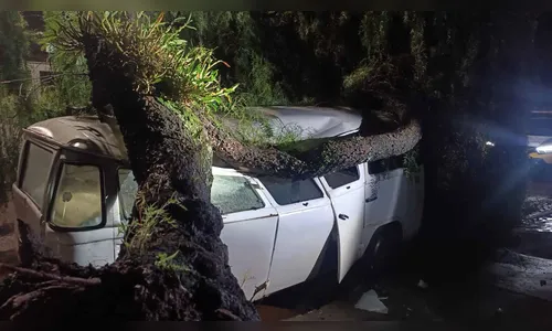 Chuva forte derruba árvores e causa danos em Ivaiporã