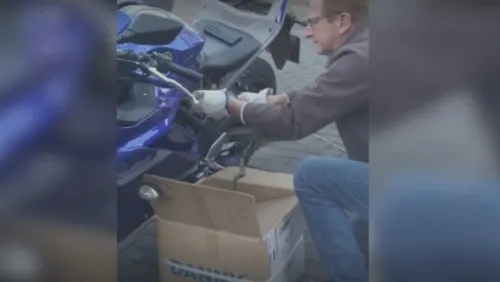 A cobra foi recolhida e levada para um local apropriado
