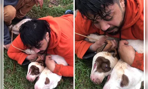 Lutador de Muay Thai é atacado e imobiliza dois pitbulls; veja o vídeo