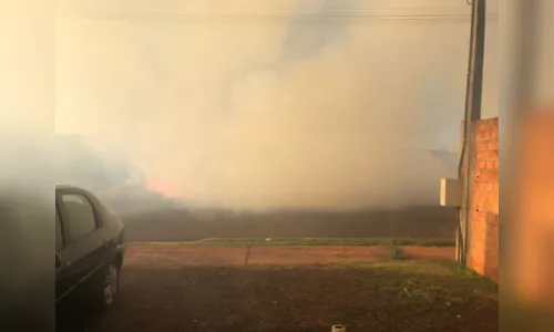 Incêndio atinge área com hortas e assusta moradores no Solo Sagrado