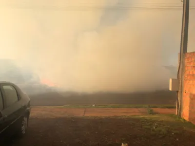 Incêndio atinge área com hortas e assusta moradores no Solo Sagrado