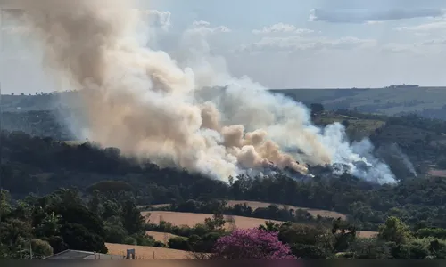 Bombeiros controlam incêndio que atingiu área de mata em Apucarana