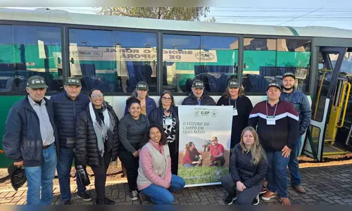 Ivaiporã realiza curso sobre cultivo de morango em substrato