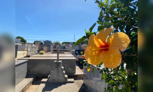 Veja os falecimentos e sepultamentos em Apucarana neste domingo (14)