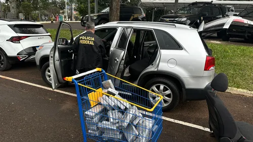 PF desarticula quadrilha e apreende quase 600 kg de drogas no PR
