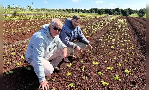 Plano Safra dobra limite de crédito para produtores familiares