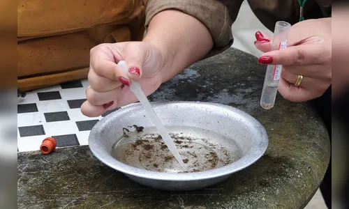 Rosário do Ivaí registra primeira morte por dengue, aponta boletim