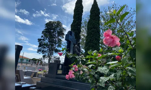 Confira os falecimentos desta sexta-feira (27) em Apucarana