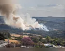 Incêndios ambientais em Apucarana concentram 50% dos casos na região