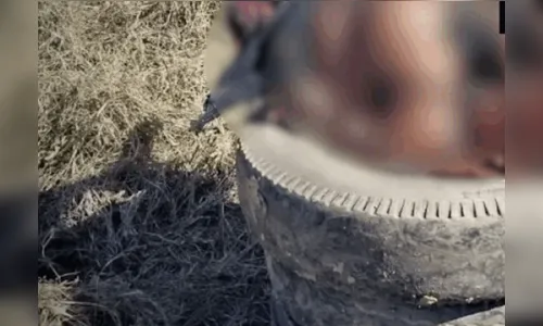 Homem é achado amarrado, esfaqueado e queimado dentro de pneus