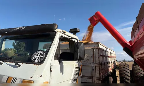 Região de Ivaiporã avança na colheita do milho e espera safra recorde