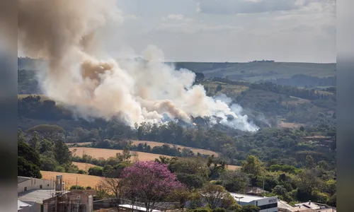 Incêndios ambientais em Apucarana concentram 50% dos casos na região