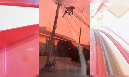 Cadeirante é flagrado em cima de poste furtando fiação