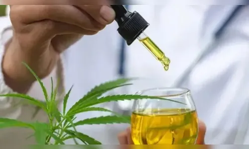 Justiça autoriza morador de Novo Itacolomi a cultivar cannabis em casa