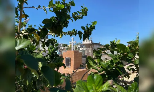 Confira os falecimentos deste domingo (24) em Apucarana