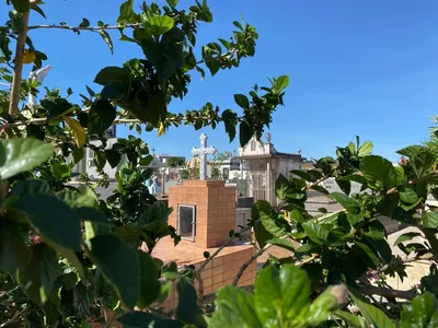 Estão previstos quatro sepultamentos para este domingo (24)