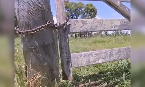 Touro é abatido e tem carne furtada em fazenda de Jandaia do Sul