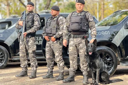 Haverá troféus para os melhores colocados nas modalidades com e sem cão