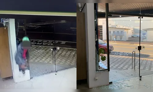 Vídeo mostra ladrão quebrando vidraça e furtando loja em Apucarana