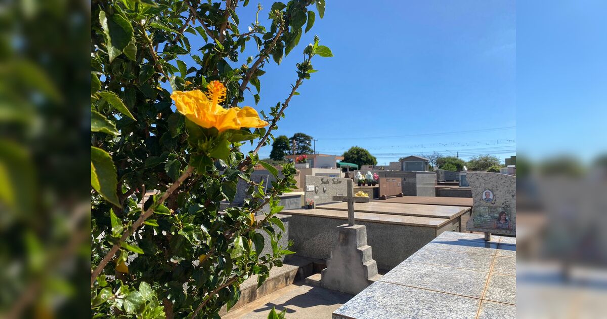 Confira os falecimentos desta segunda-feira (13) em Apucarana