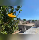 Confira os falecimentos desta terça-feira (22) em Apucarana
