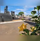 Confira os falecimentos desta terça-feira (09) em Apucarana e região