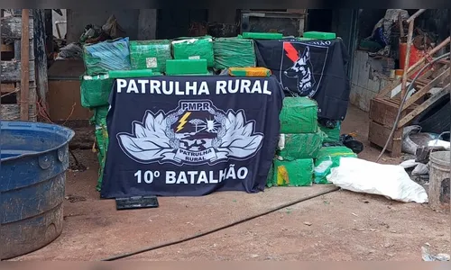 PM apreende mais de 1 tonelada de maconha em Califórnia