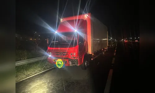 Cavalo morre atropelado ao tentar cruzar rodovia em Arapongas