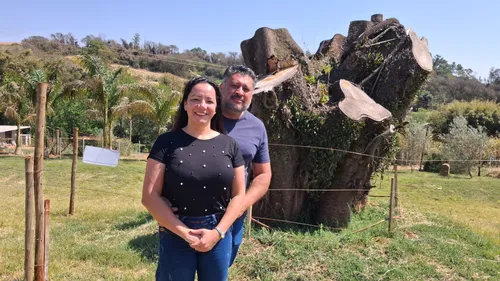 Casal Josilene Bertolin Irmer e Valdecir Irmer Jr em frente à árvore replantada