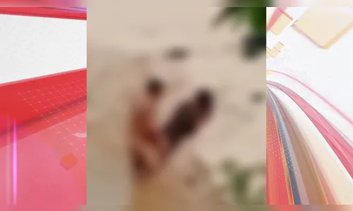 Virou moda? Mais um casal flagrado fazendo sexo na praia à luz do dia