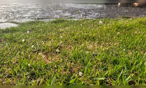 Chuva de granizo atinge vários bairros de Apucarana