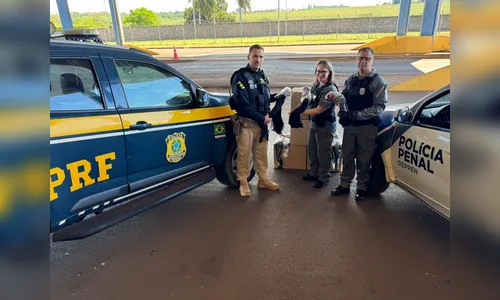 Mercadoria apreendida pela PRF vira apoio a mulheres com câncer no PR