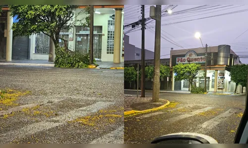 Rajada de vento passa dos 50 km/h durante a madrugada em Apucarana
