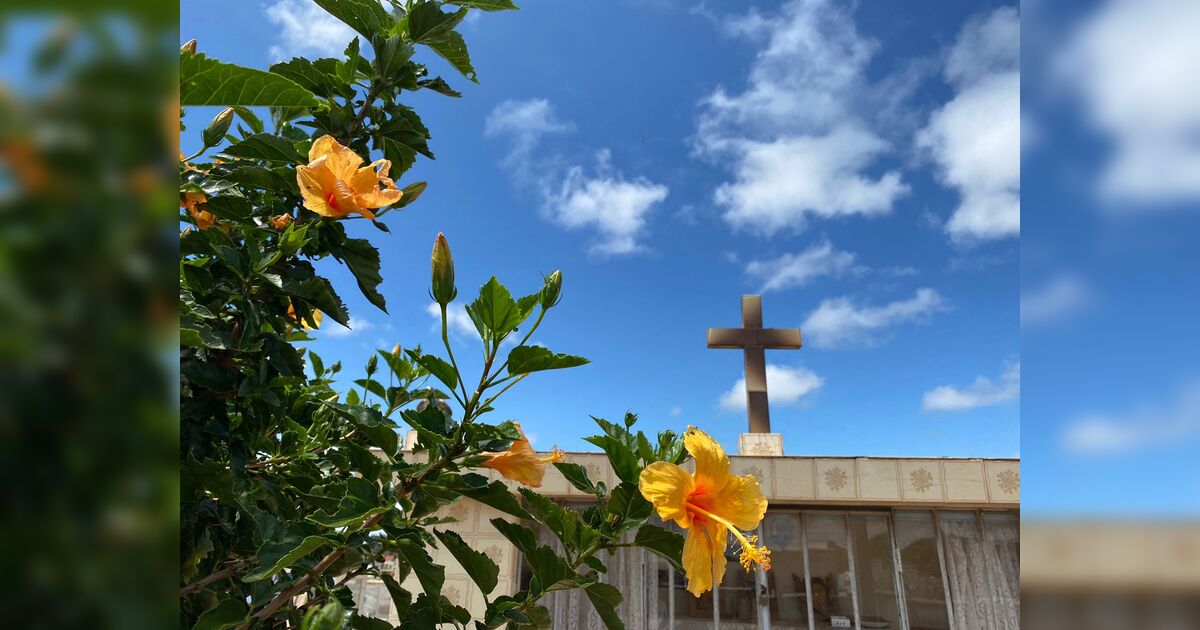 Confira os falecimentos desta terça-feira (24) em Apucarana