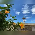 Confira os falecimentos desta quarta-feira (28) em Ivaiporã