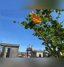 Confira os falecimentos desta segunda-feira (10) em Apucarana e região