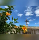 Confira os falecimentos desta segunda-feira (21) em Apucarana e região