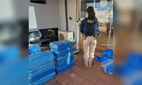 Adolescente é flagrado com quase meia tonelada de maconha em Arapongas