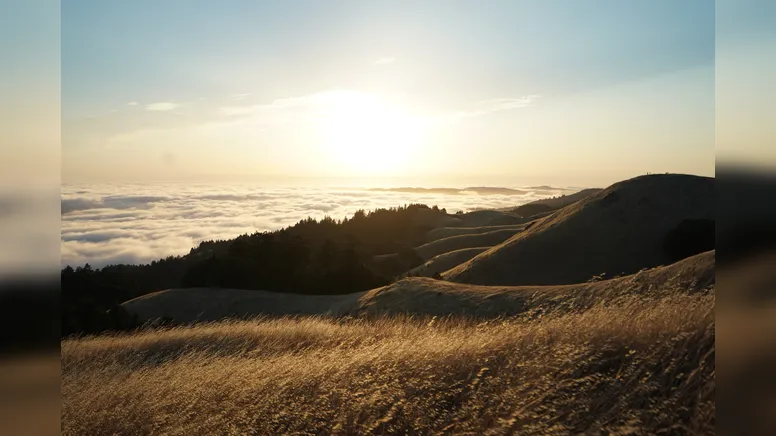 Imagem ilustrativa da notícia Invejo o silêncio – Quem cala (con)sente