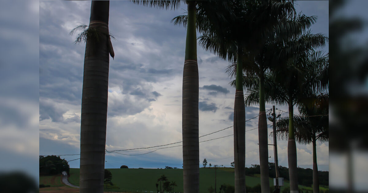 imagem