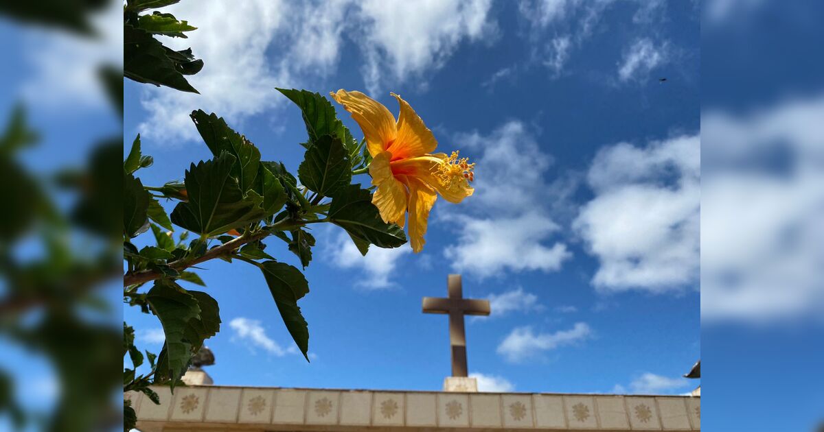 Confira os falecimentos deste sábado (04) em Apucarana