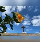 Confira os falecimentos desta terça-feira (23) em Apucarana
