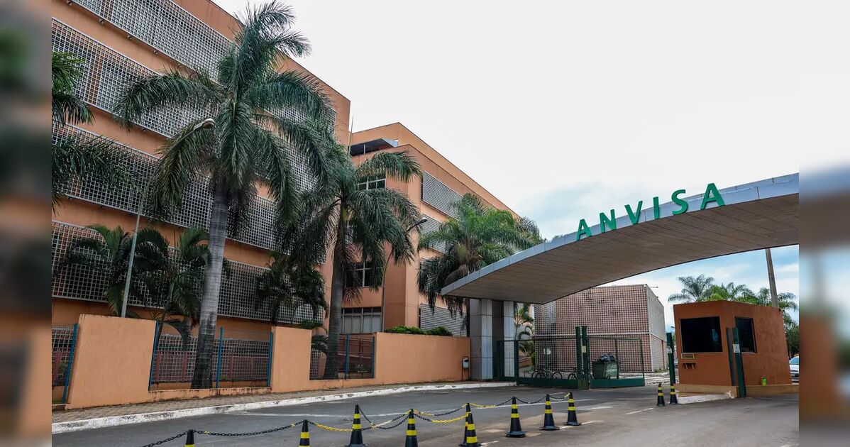 Anvisa atualiza limites de cúrcuma em suplementos alimentares