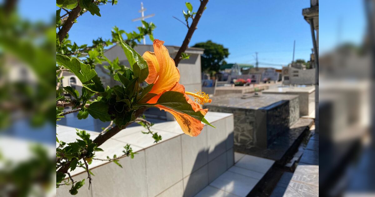 Confira os falecimentos desta segunda-feira (06) em Apucarana