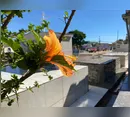 Confira os falecimentos desta terça-feira (14) em Apucarana e região