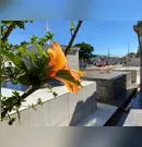 Confira os falecimentos desta terça-feira (14) em Apucarana e região