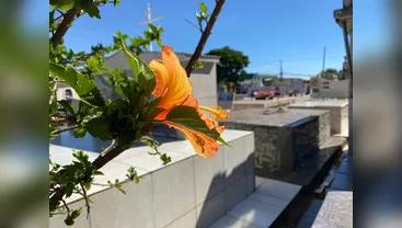 Confira os falecimentos desta terça-feira (14) em Apucarana e região
