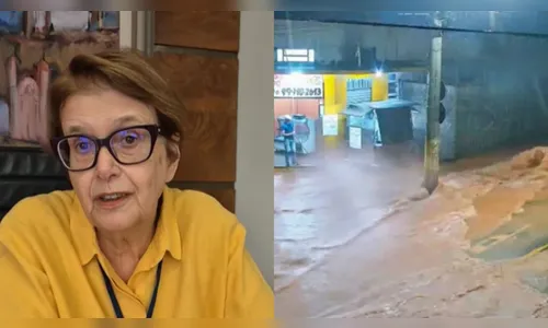 Prefeita de Juiz de Fora compara destruição a 'Cem Anos de Solidão'