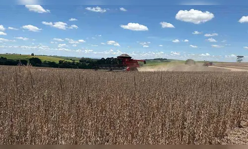 Estiagem de janeiro afeta potencial produtivo da soja no Vale do Ivaí